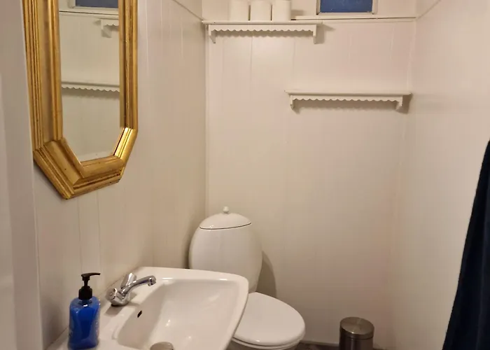 ゲストハウス Patriciavilla Taet Pa Centrum ハザスレウ